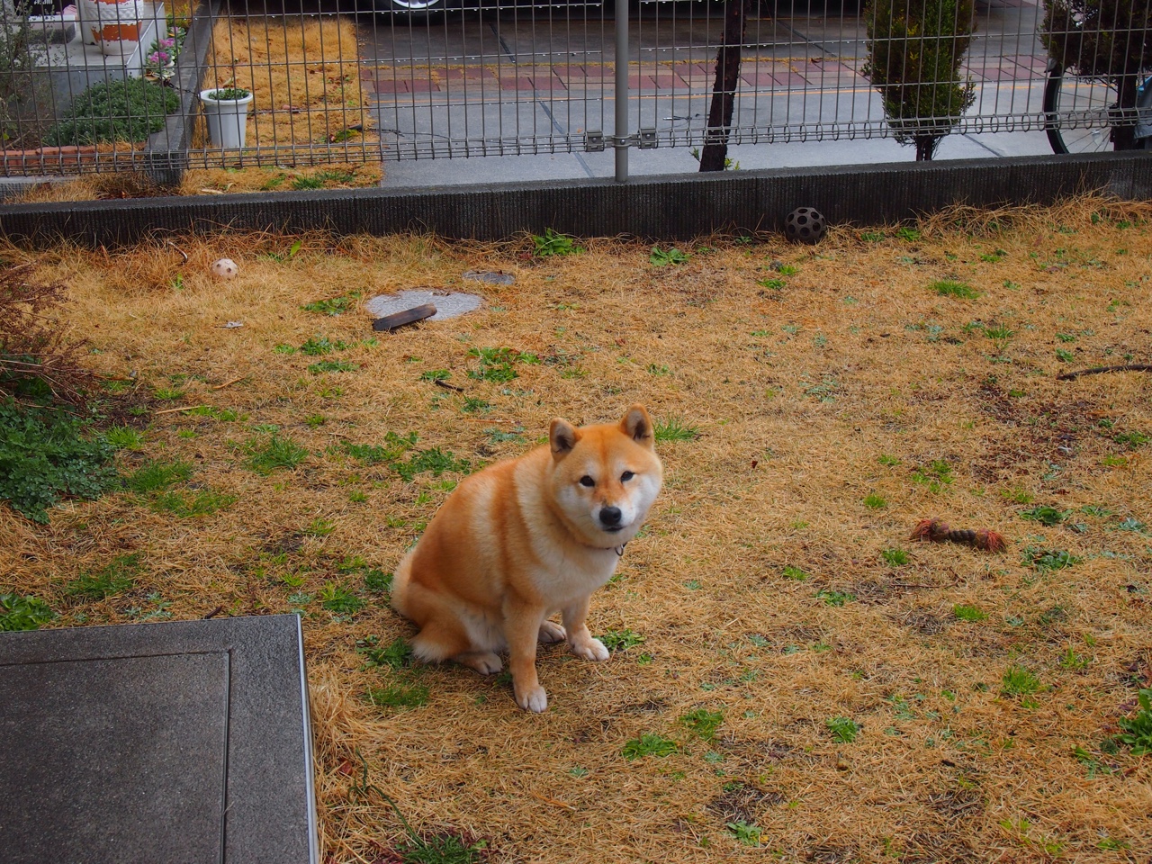 开云体育app-决战紫禁之巅，太阳新王当立！拉文末节19分弑杀旧主