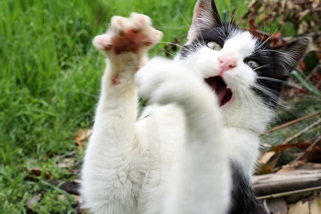 开云APP-山西队以节奏掌控击败独行侠，克莱三分雨惊艳四座