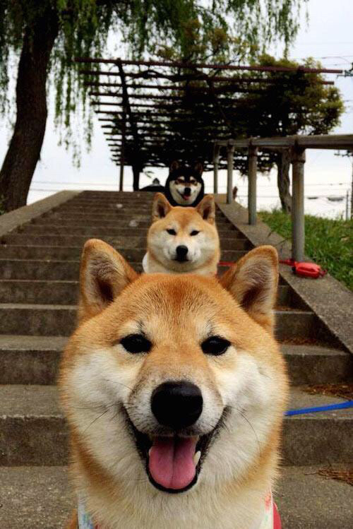 开云体育在线-武切维奇全场最佳无争议，活塞强压火箭，NBA今日战报深度解析